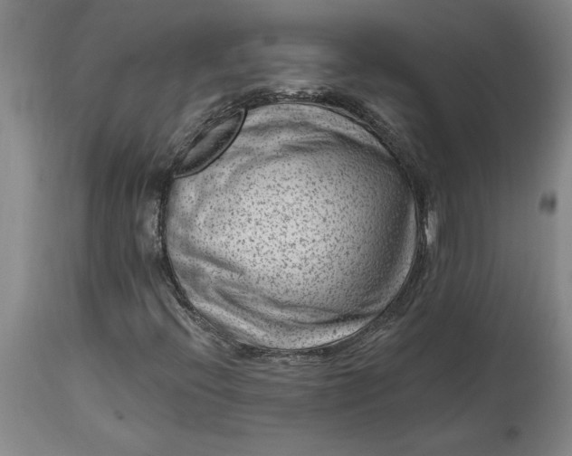 X0000114691396200911121508