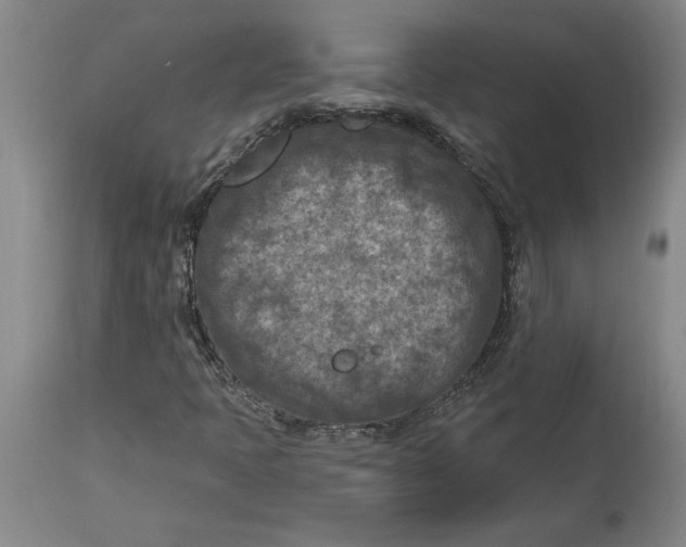 X0000114691397200911121508