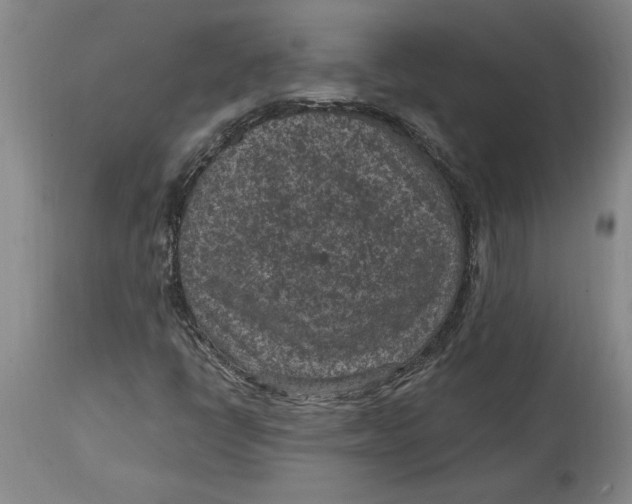 X0000114691398200911121508