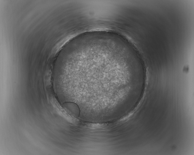 X0000114691401200911121508