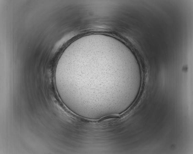 X0000114691402200911121508