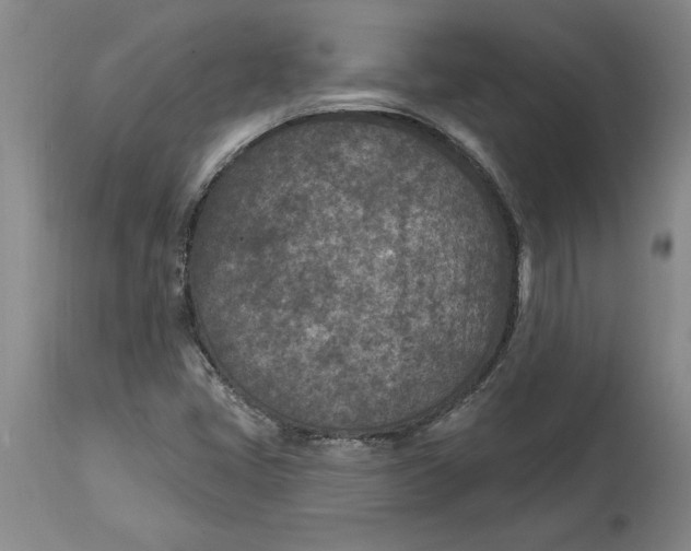 X0000114691405200911121508