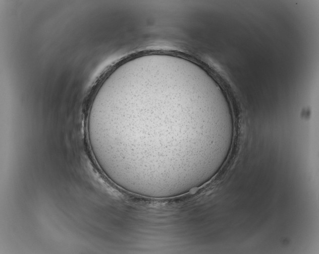 X0000114691408200911121508