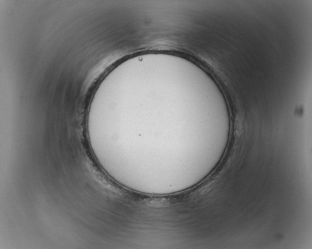 X0000114691410200911121508