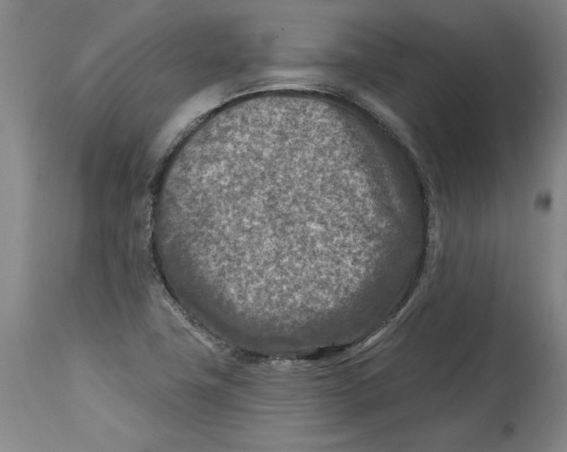 X0000114691411200911121508