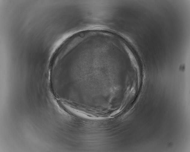 X0000114691414200911121508