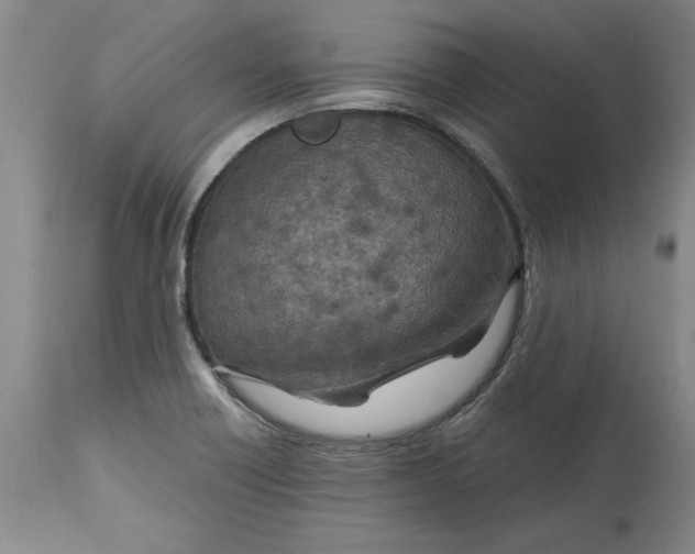 X0000114691418200911121508