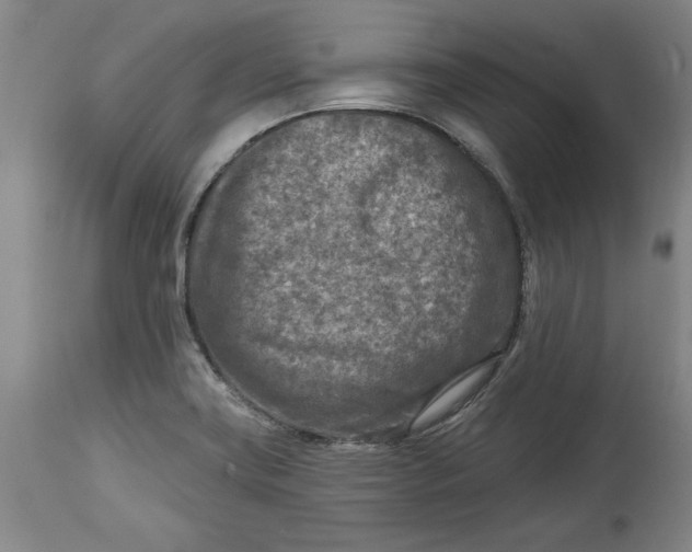 X0000114691419200911121508