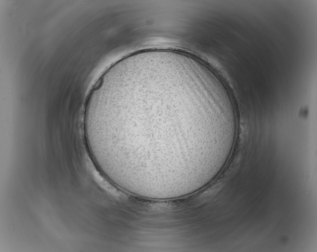 X0000114691421200911121508