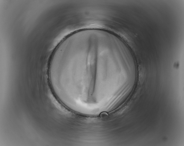 X0000114691422200911121508