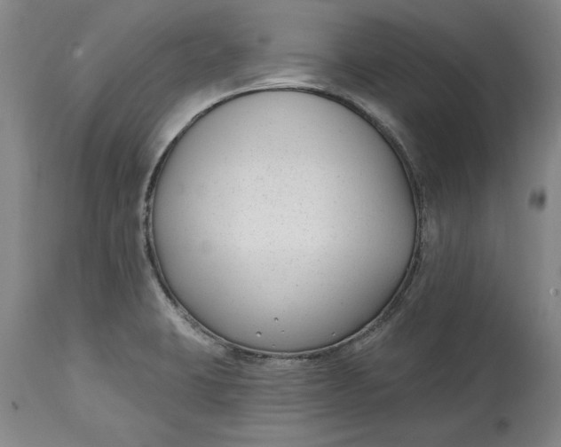 X0000114691423200911121508