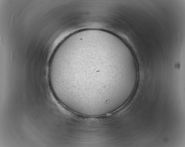 X0000114691424200911121508