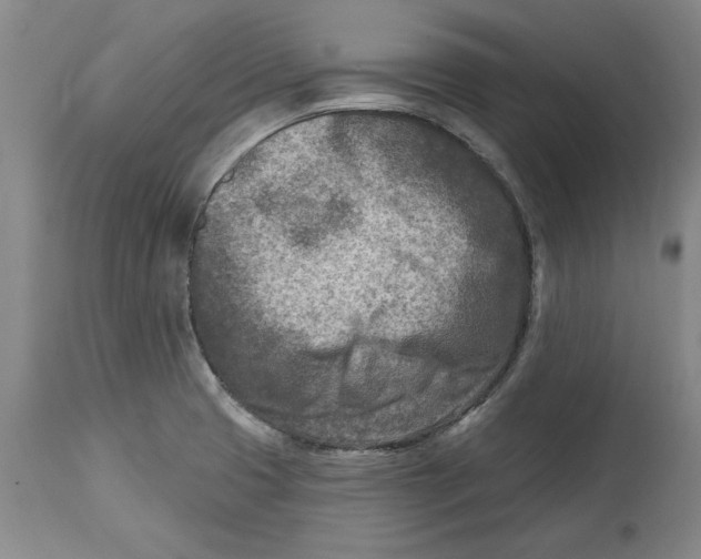 X0000114691425200911121508