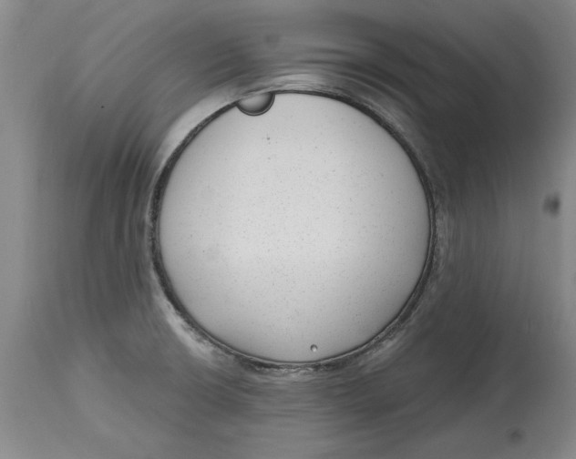 X0000114691426200911121508