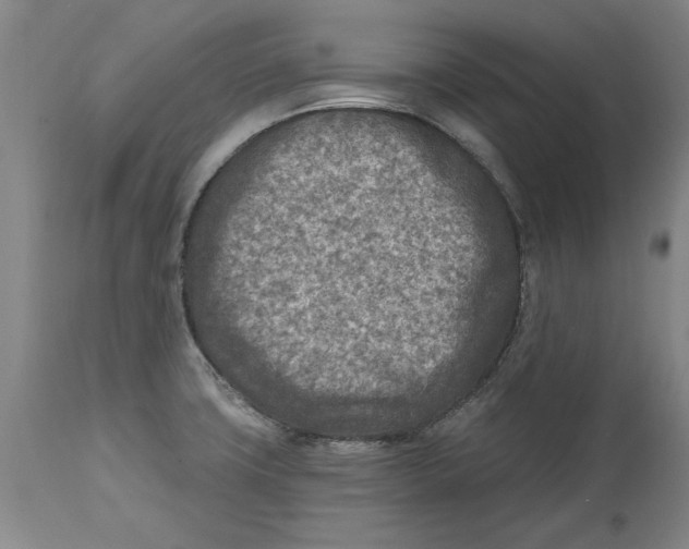 X0000114691427200911121508