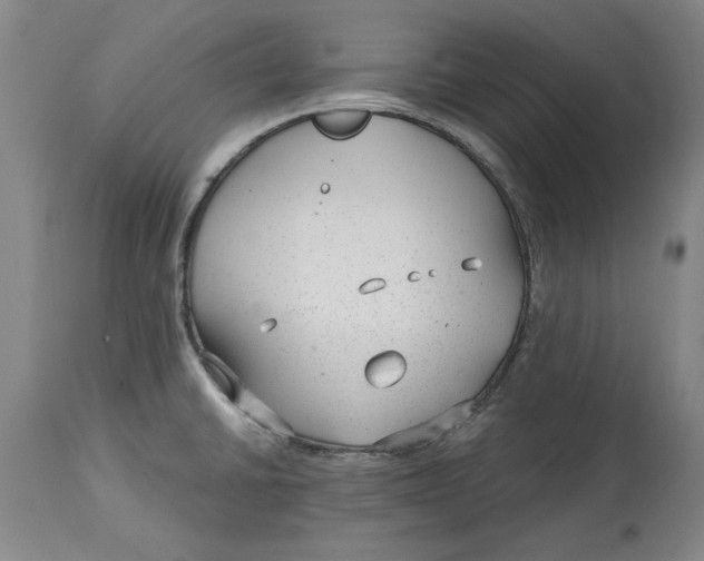 X0000114691430200911121508