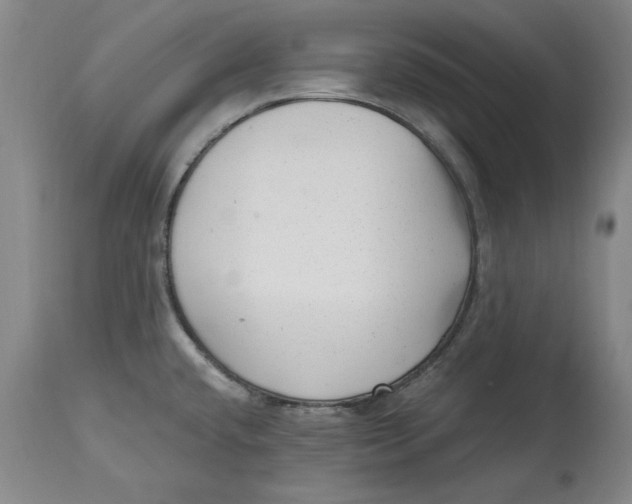 X0000114691432200911121508