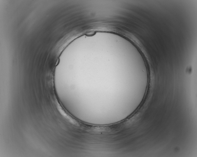 X0000114691433200911121508