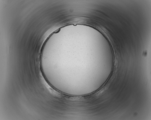 X0000114691434200911121508