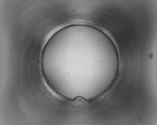 X0000114691437200911121508