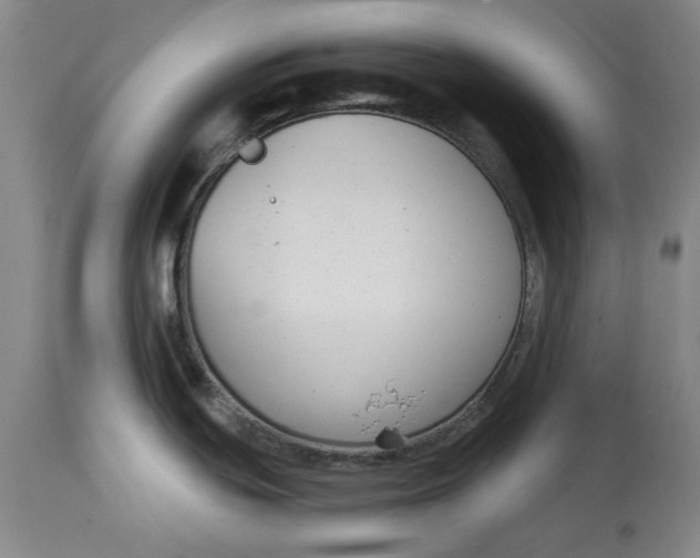 X0000114691439200911121508