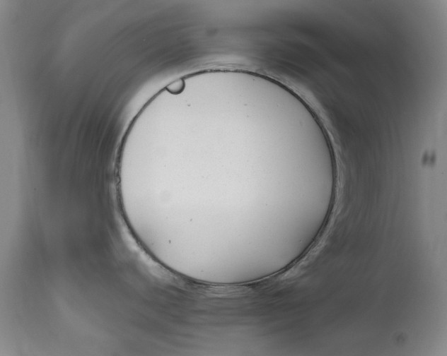 X0000114691440200911121508