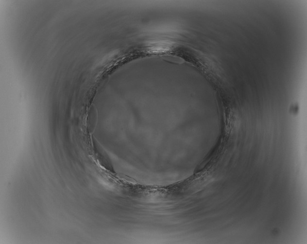 X0000114691441200911121508