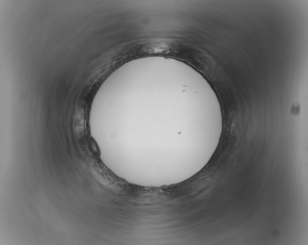 X0000114691442200911121508