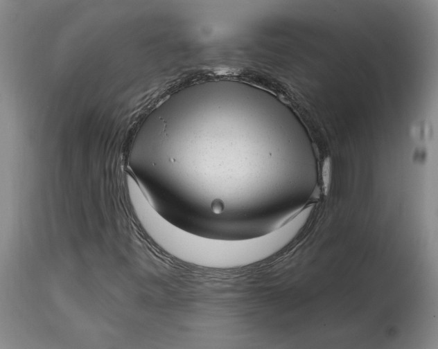 X0000114691443200911121508