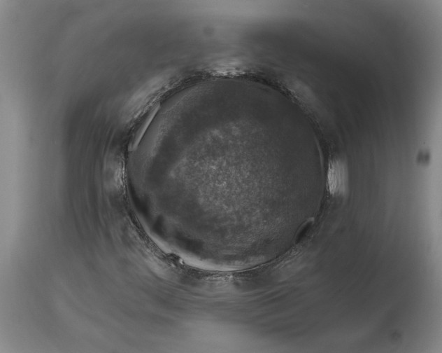 X0000114691444200911121508