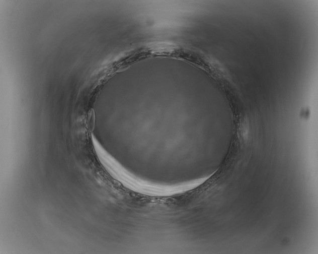 X0000114691445200911121508