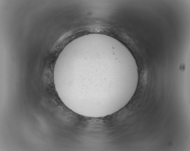 X0000114691446200911121508