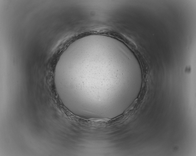 X0000114691447200911121508