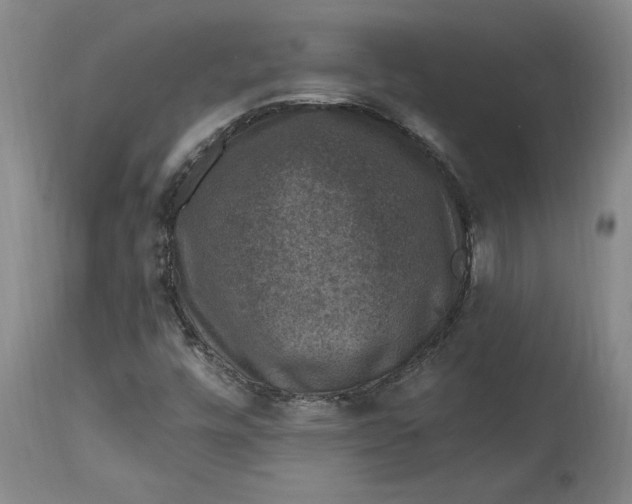 X0000114691448200911121508