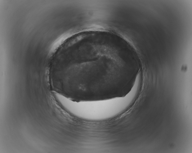 X0000114691455200911121508