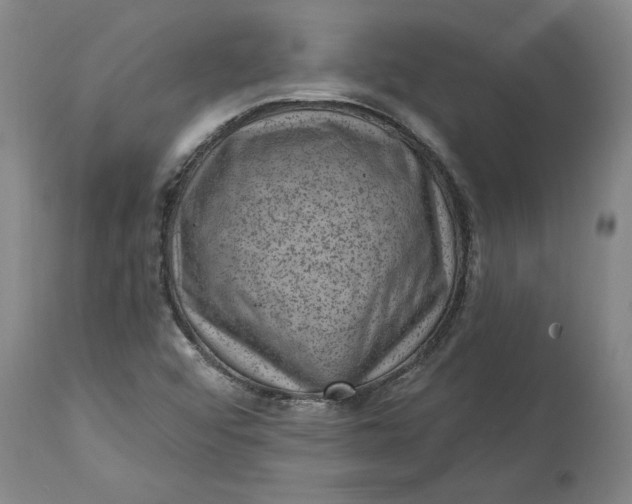 X0000114691456200911121508