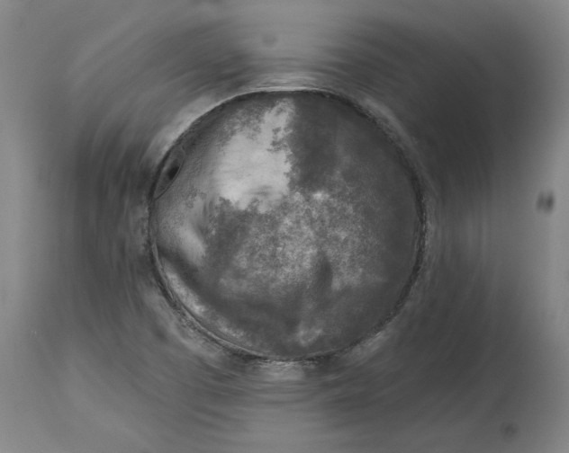 X0000114691457200911121508