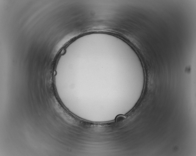 X0000114691458200911121507