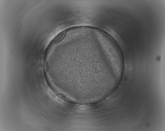 X0000114691460200911121507