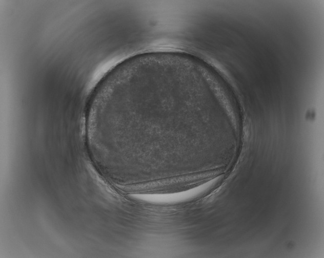 X0000114691461200911121507