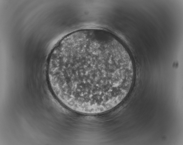 X0000114691463200911121507