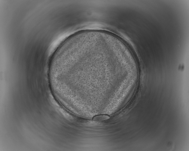 X0000114691464200911121507