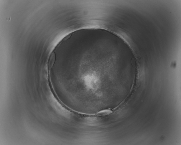 X0000114691468200911121507