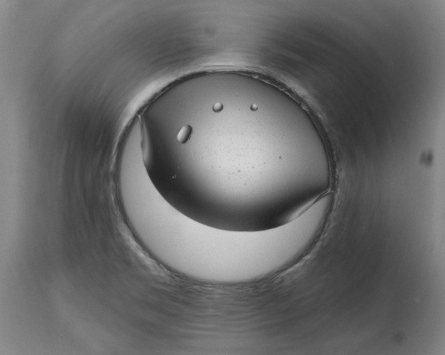 X0000114691469200911121507