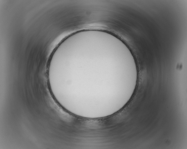 X0000114691470200911121507