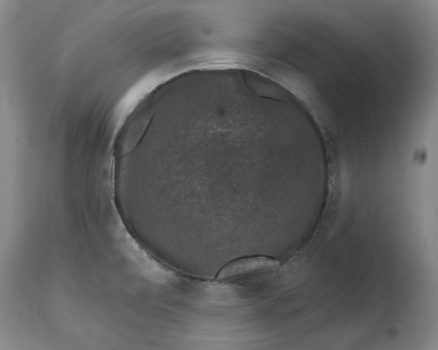 X0000114691472200911121507