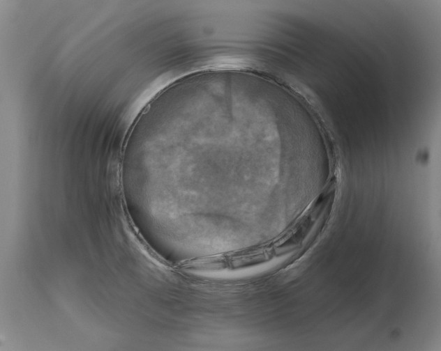 X0000114691473200911121507