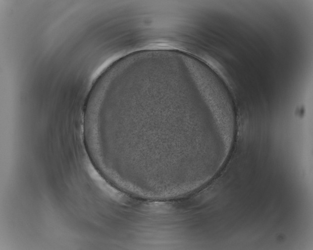 X0000114691476200911121507