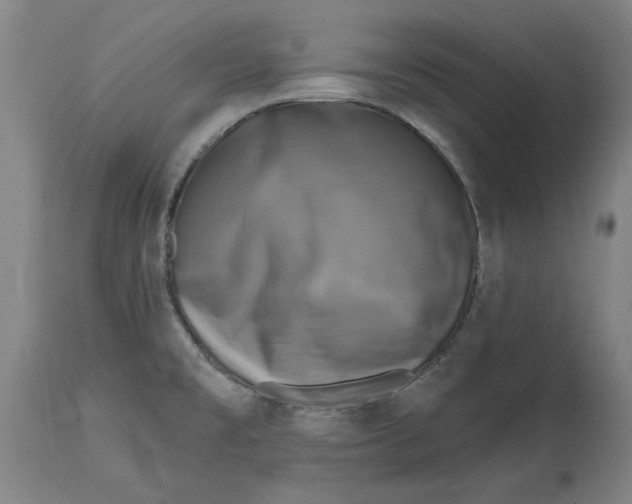 X0000114691477200911121507