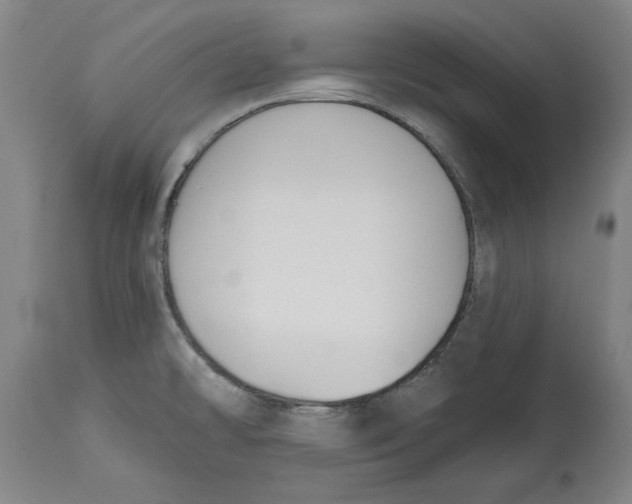 X0000114691478200911121507